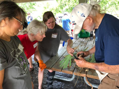 group learning about borers